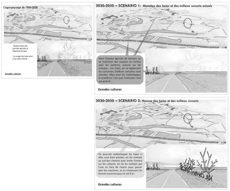 Figure 4. Exemple de diapositives Power Point exploitant les récits textuels des agriculteurs  